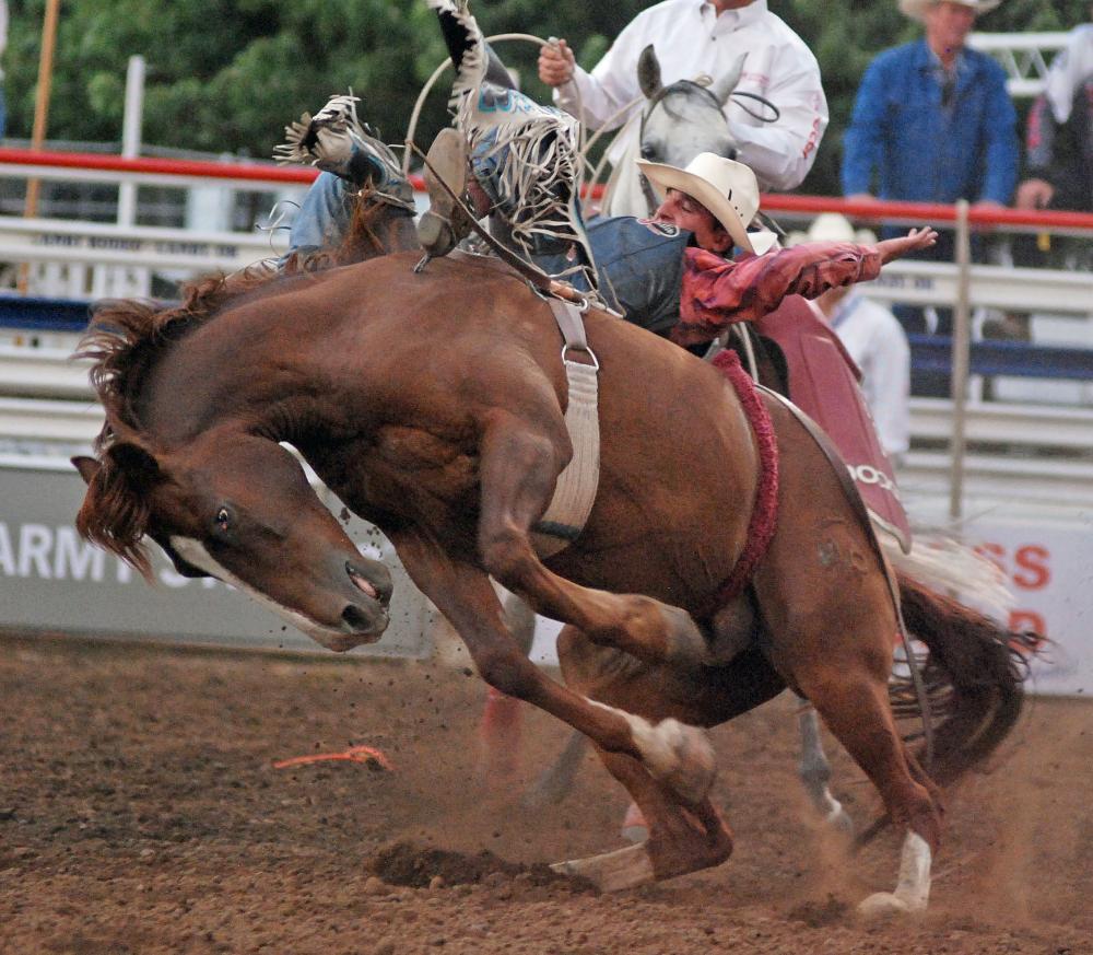 Clackamas County Fair Canby OR