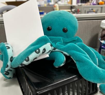 image teal plush octopus holding a white book with a blank cover